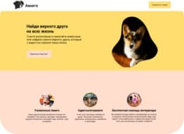 Фото проєкту 'Благодійний притулок для тварин'