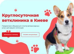 Фото проєкту 'Ветеринарна клініка у Києві'